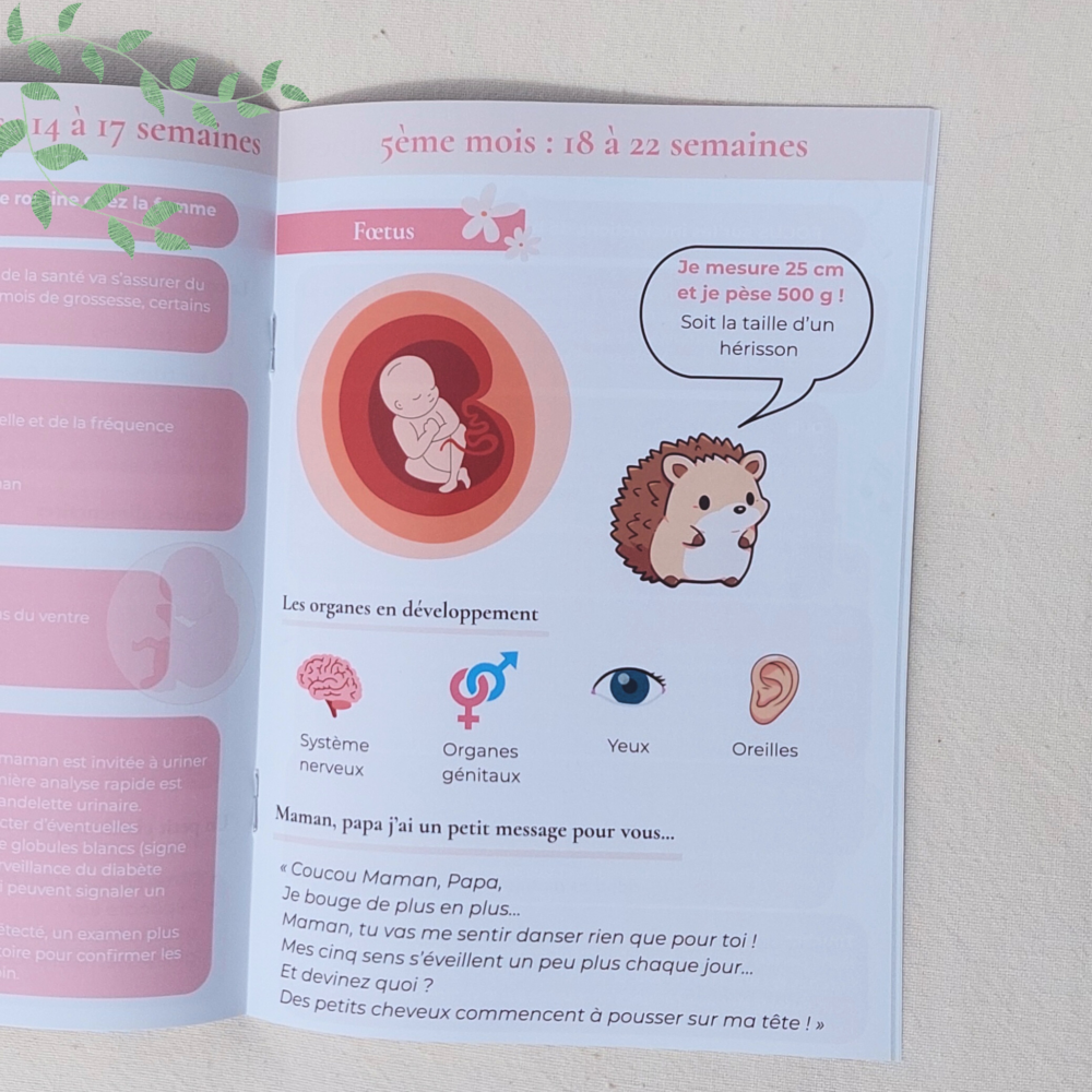 coffret "eclat de vie" (copie) coffret "eclat de vie" (copie)