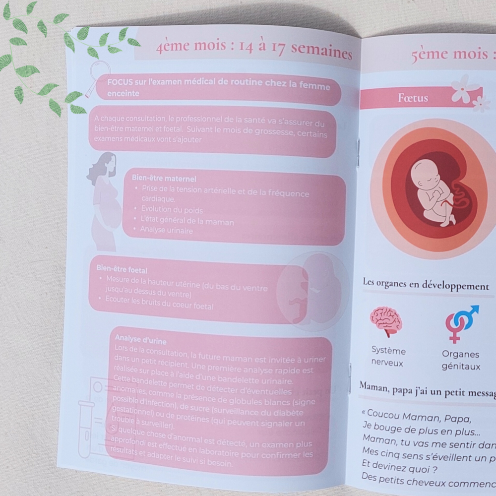 coffret "eclat de vie" (copie) coffret "eclat de vie" (copie)